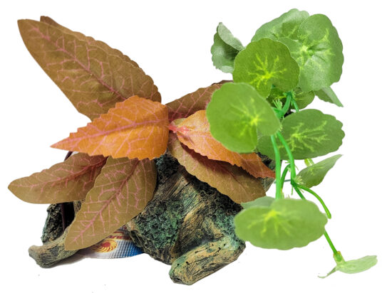 TRONCO PEQ N2 CON PLANTAS 14X8X16CMS
