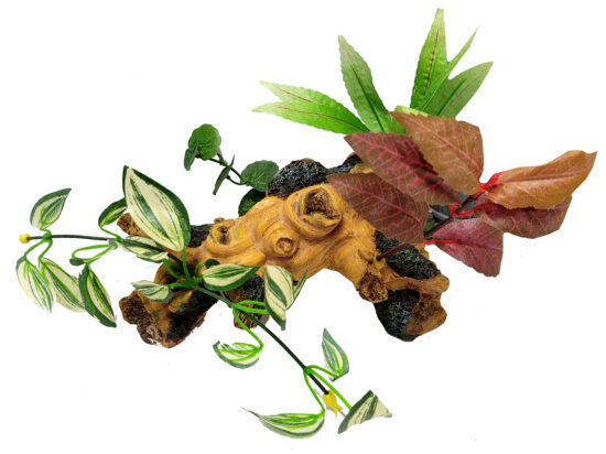 TRONCO GDE N2 CON PLANTAS 22.0X10.0X15.0CMS