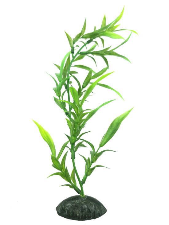 PLANTA BAMBOO CLASSIC 30.0CMS