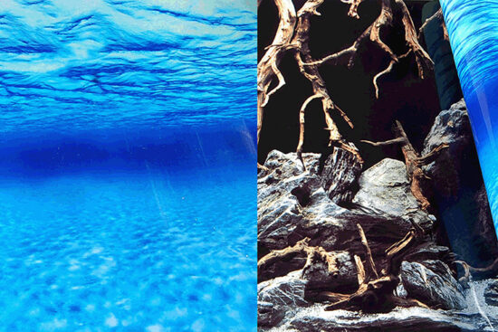 POSTER 15MX45CMS DOBLE FONDO MARINO AZUL / RAICES Y ROCAS