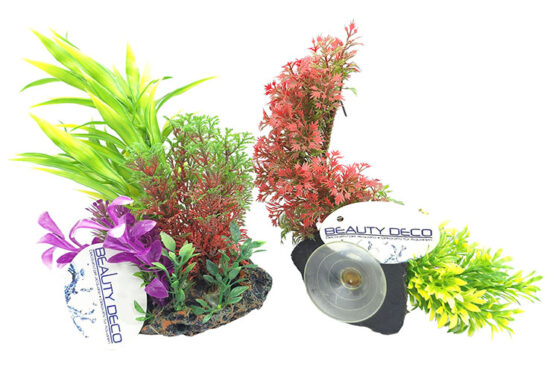 PLANTAS MIX EN ROCA CON VENTOSA 11.0X6.0X24.0CMS