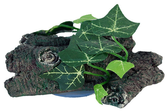 HEDERA N2 CON VENTOSA 13.0X12.0X6.0CMS
