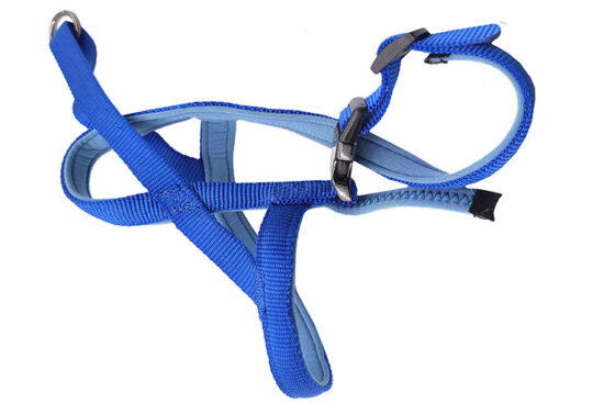 ARNES 15MMX54-60CMS AZUL NEOPRENO