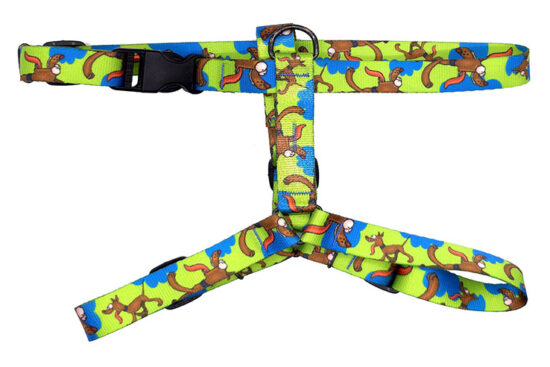 ARNES PASEO 20.0MMX35.0-55.0CMS
