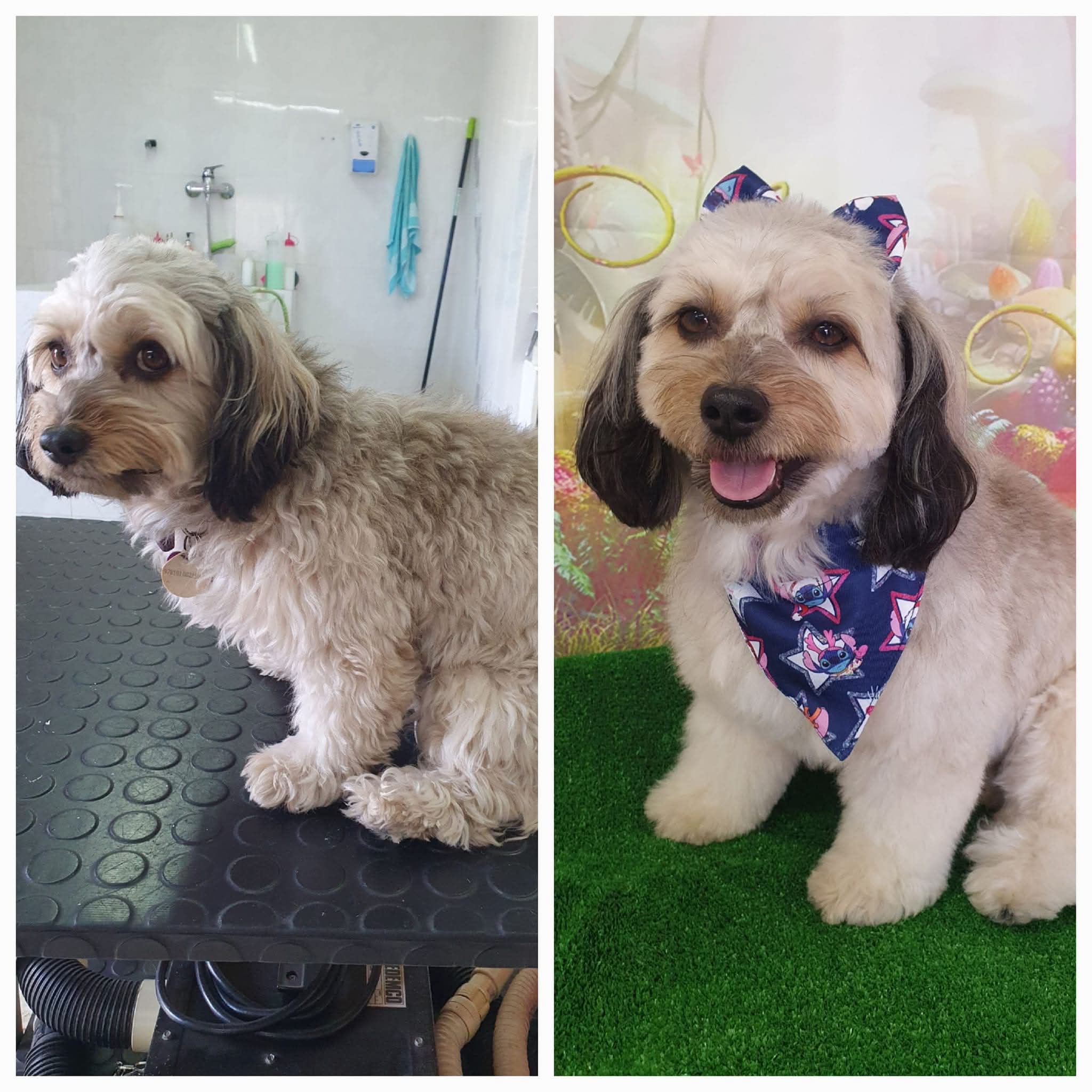 Peluquería