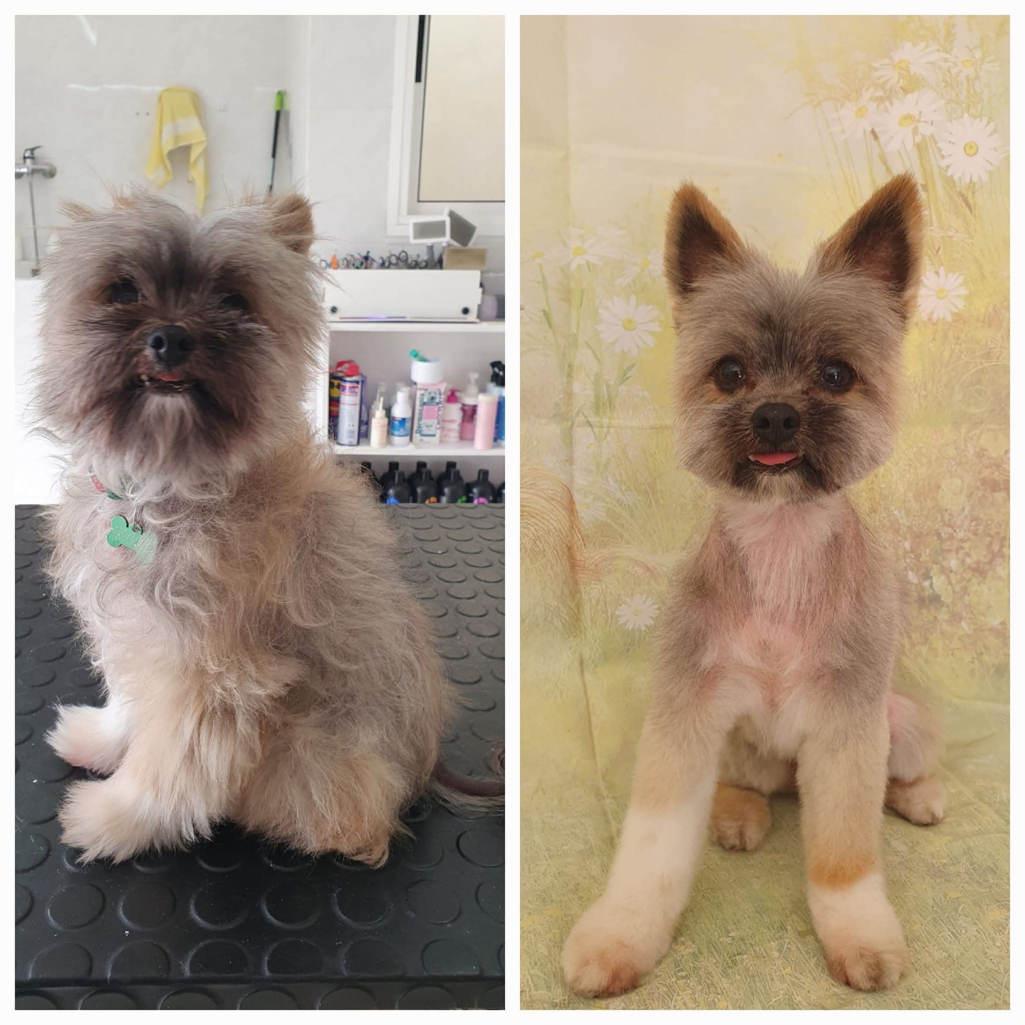 Peluquería