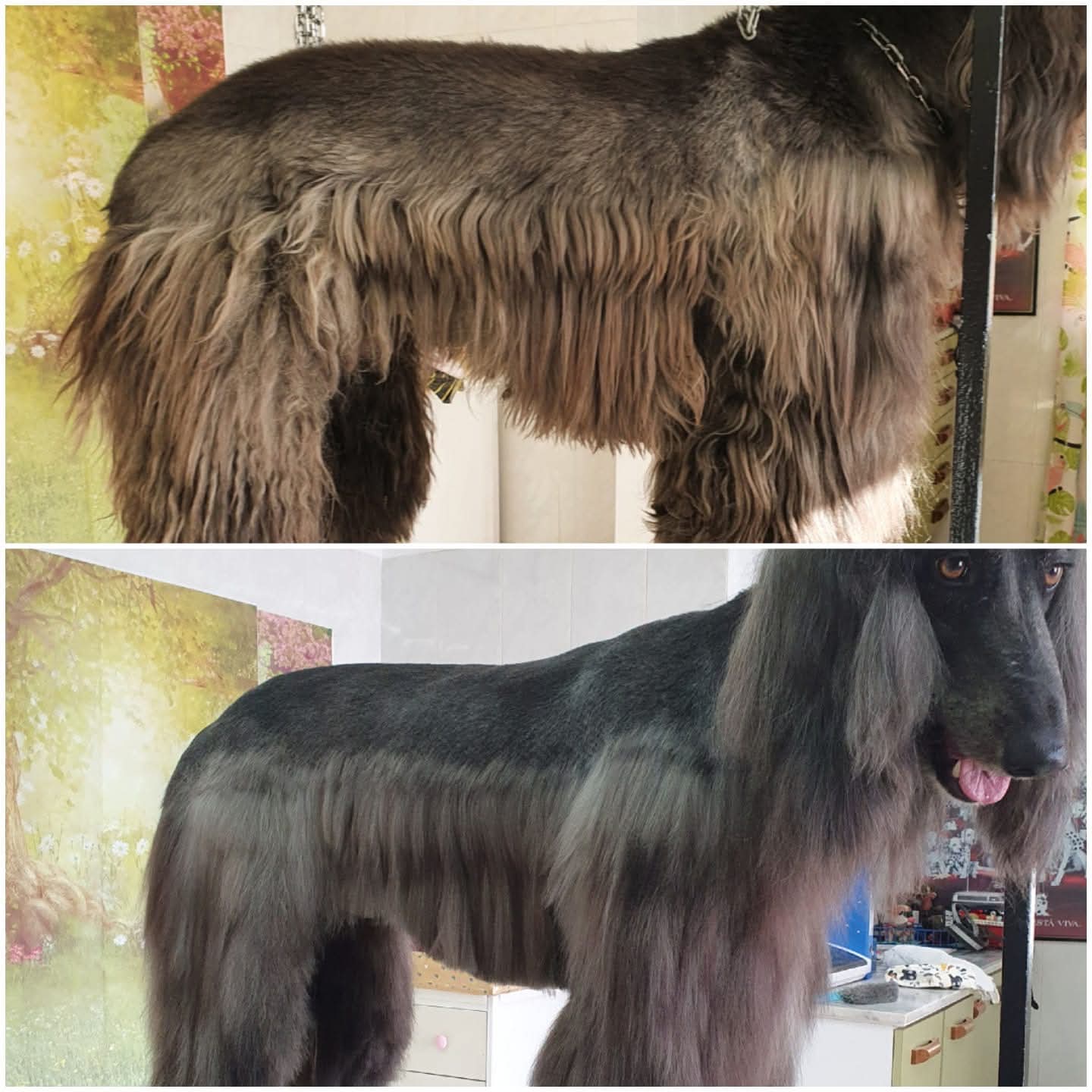 Peluquería