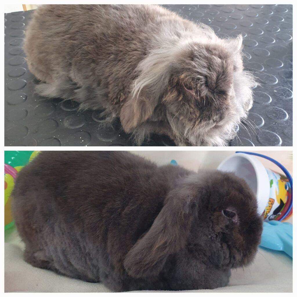 Peluquería