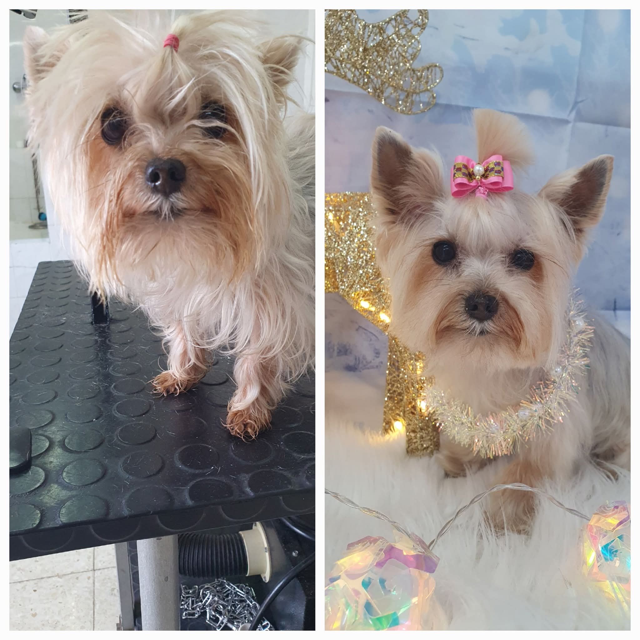 Peluquería