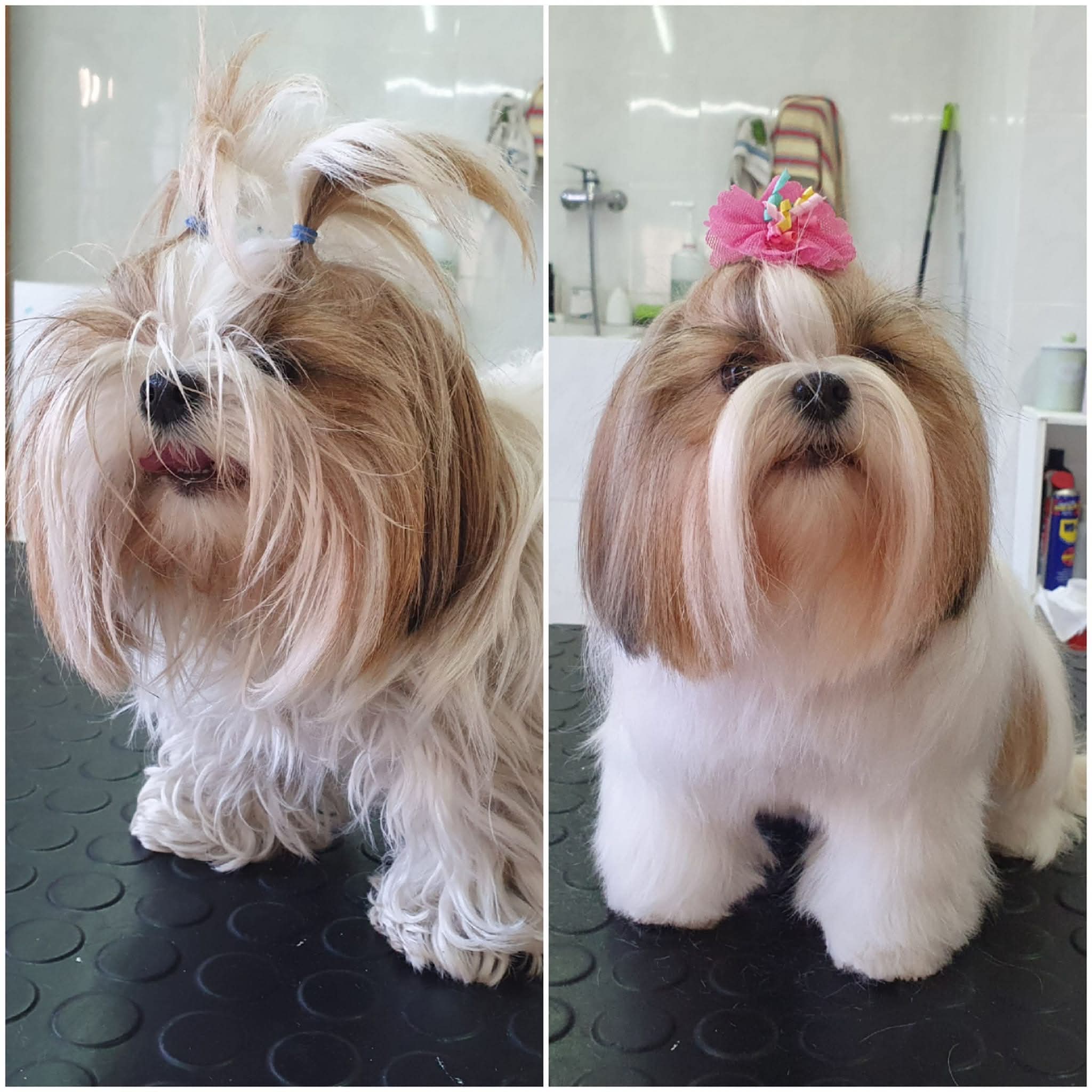 Peluquería