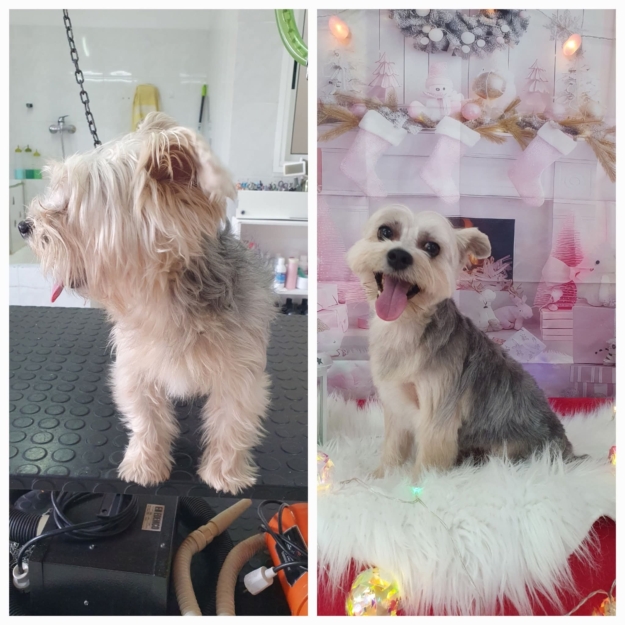 Peluquería