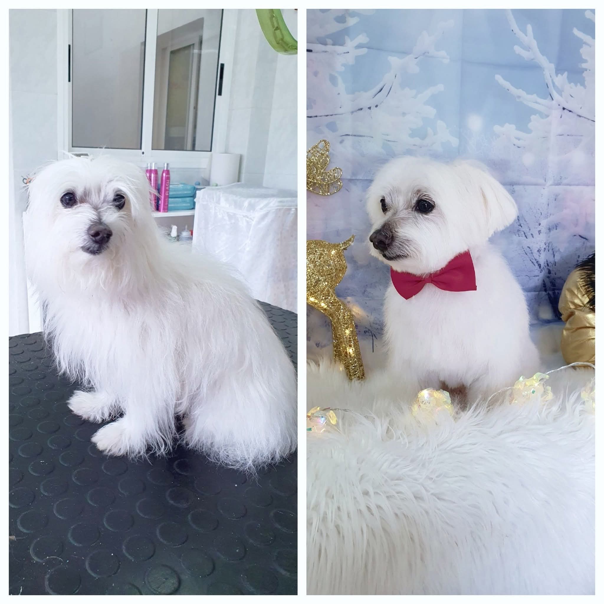 Peluquería