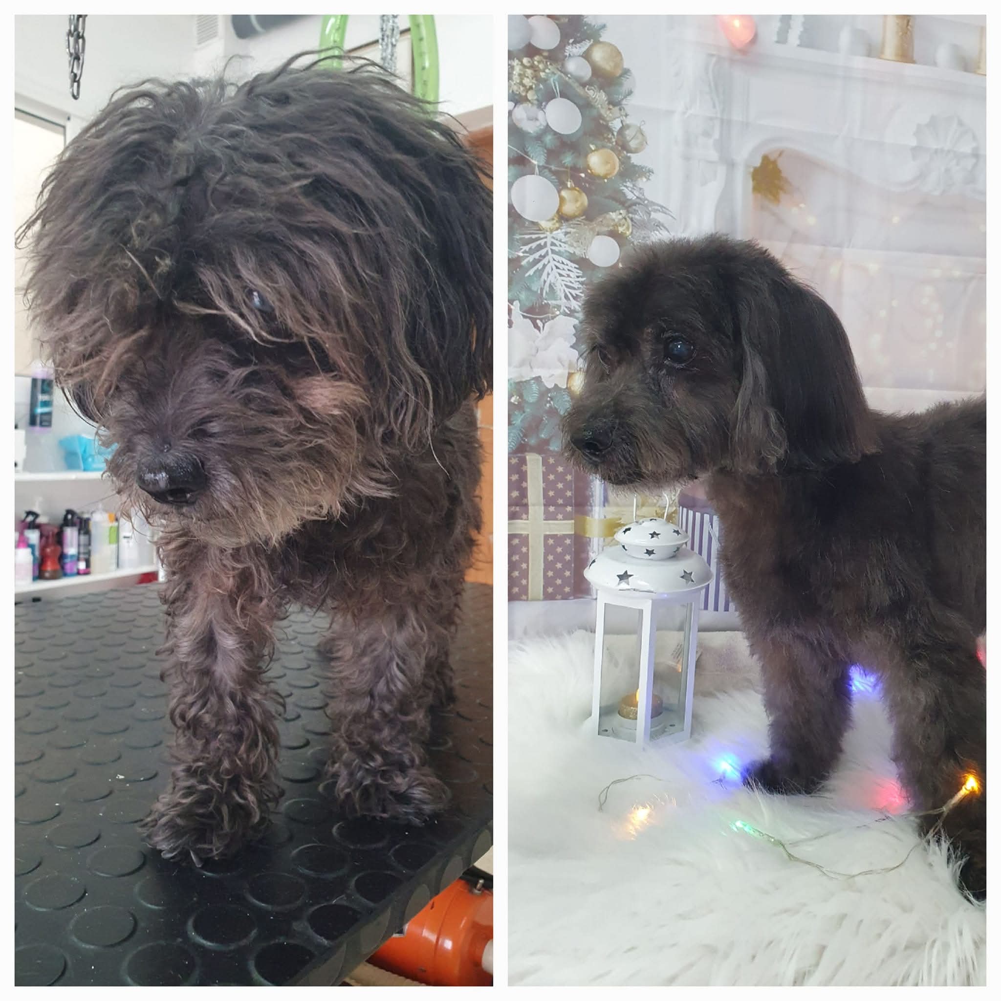 Peluquería