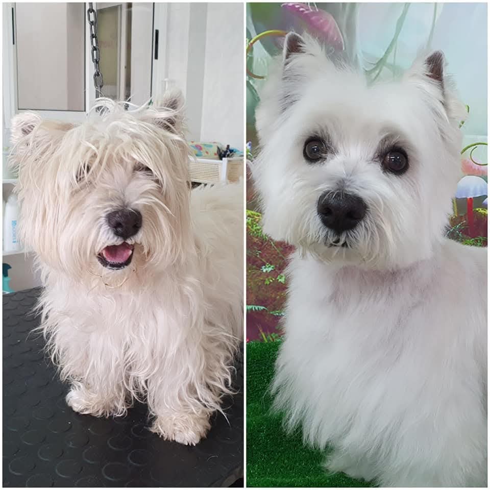 Peluquería