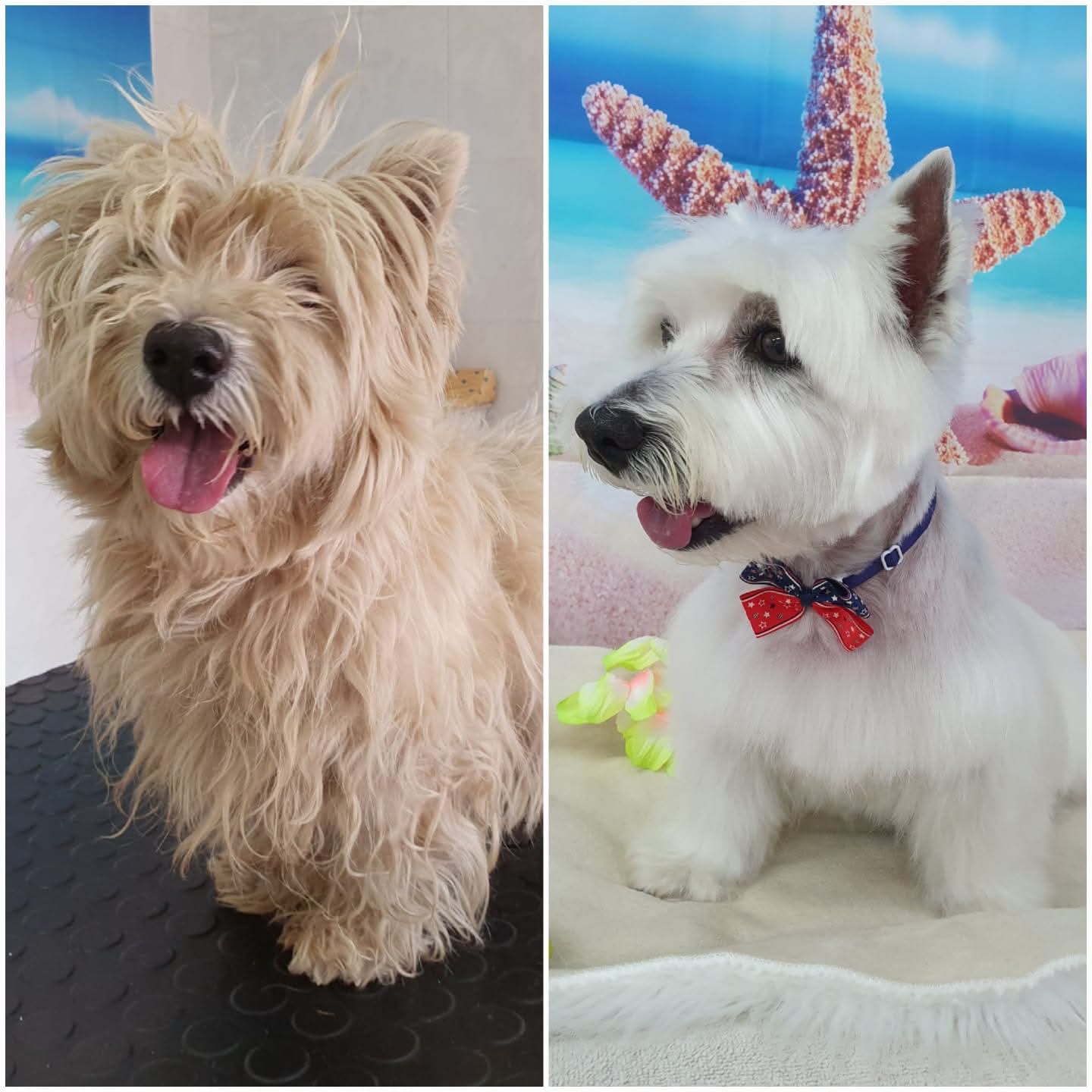 Peluquería