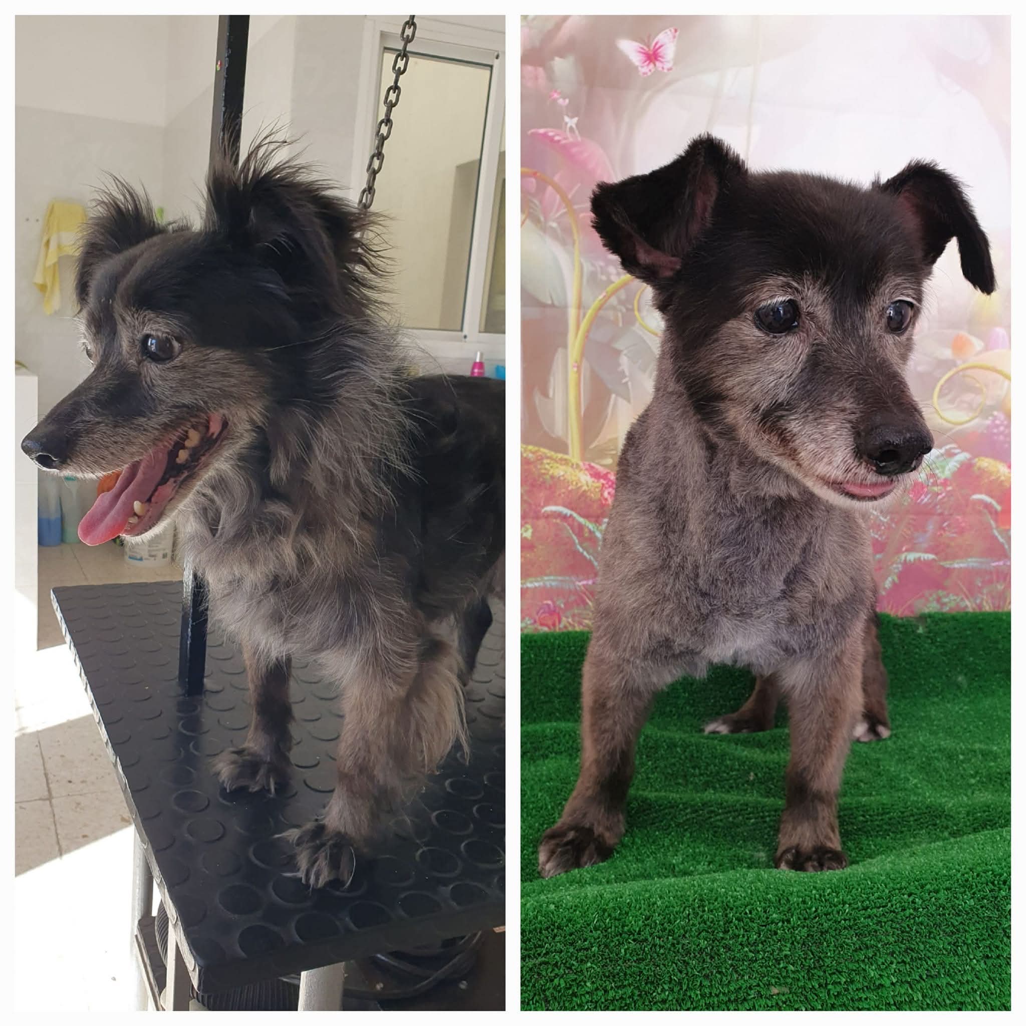 Peluquería