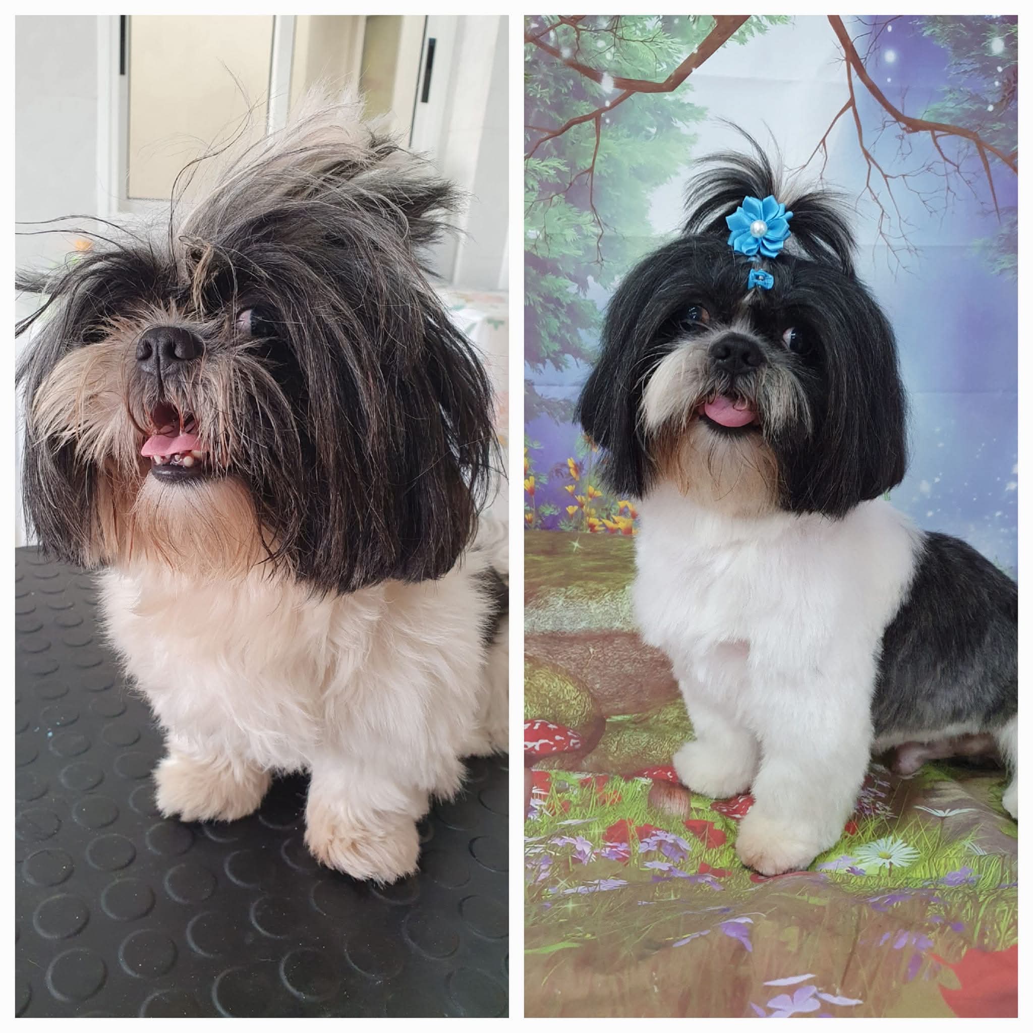 Peluquería