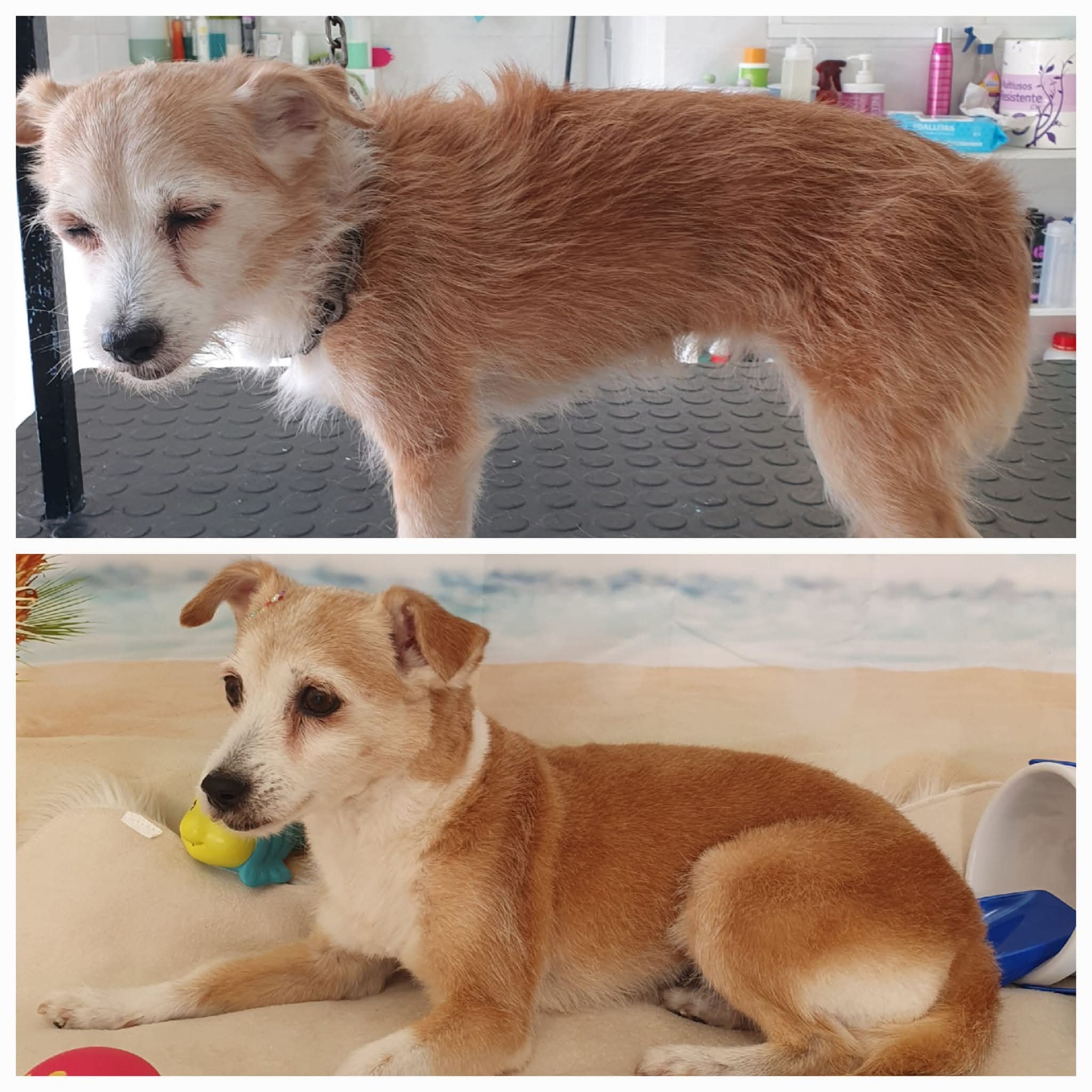 Peluquería