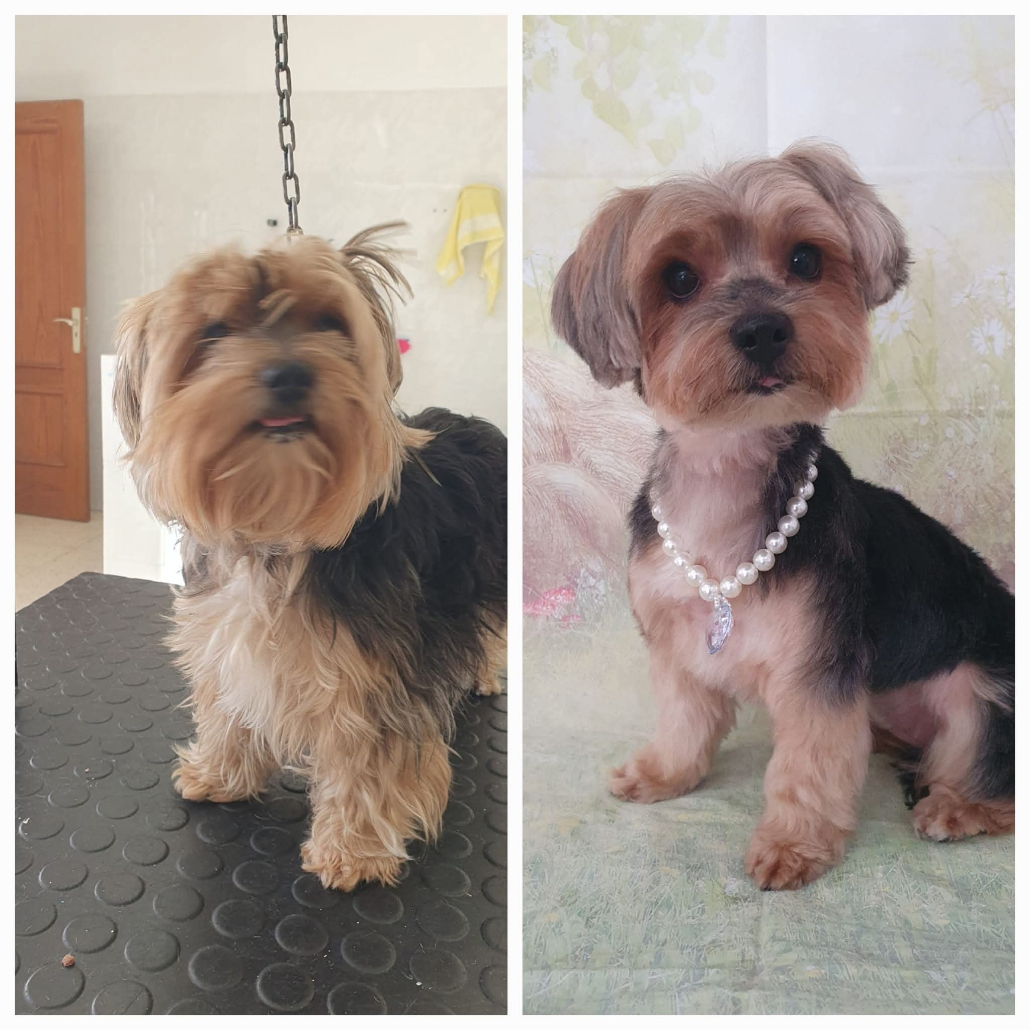 Peluquería