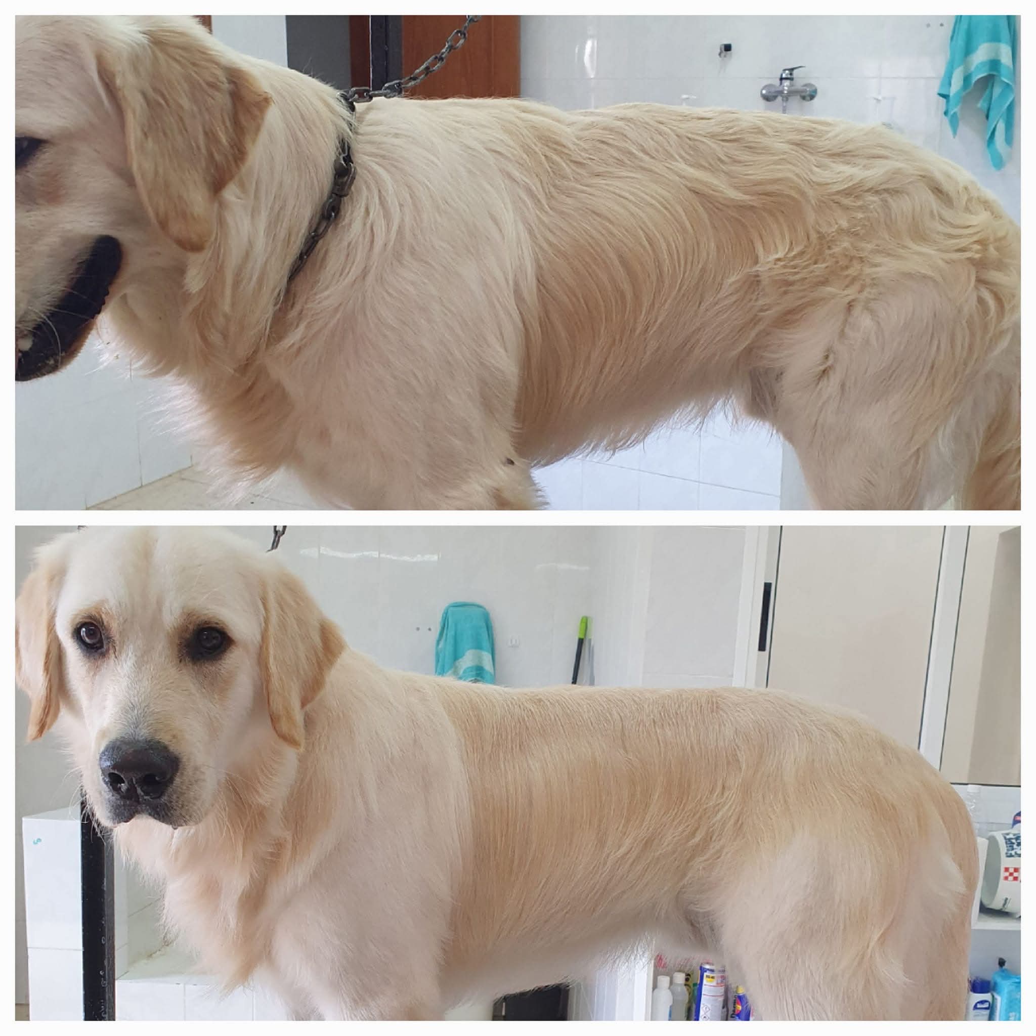 Peluquería