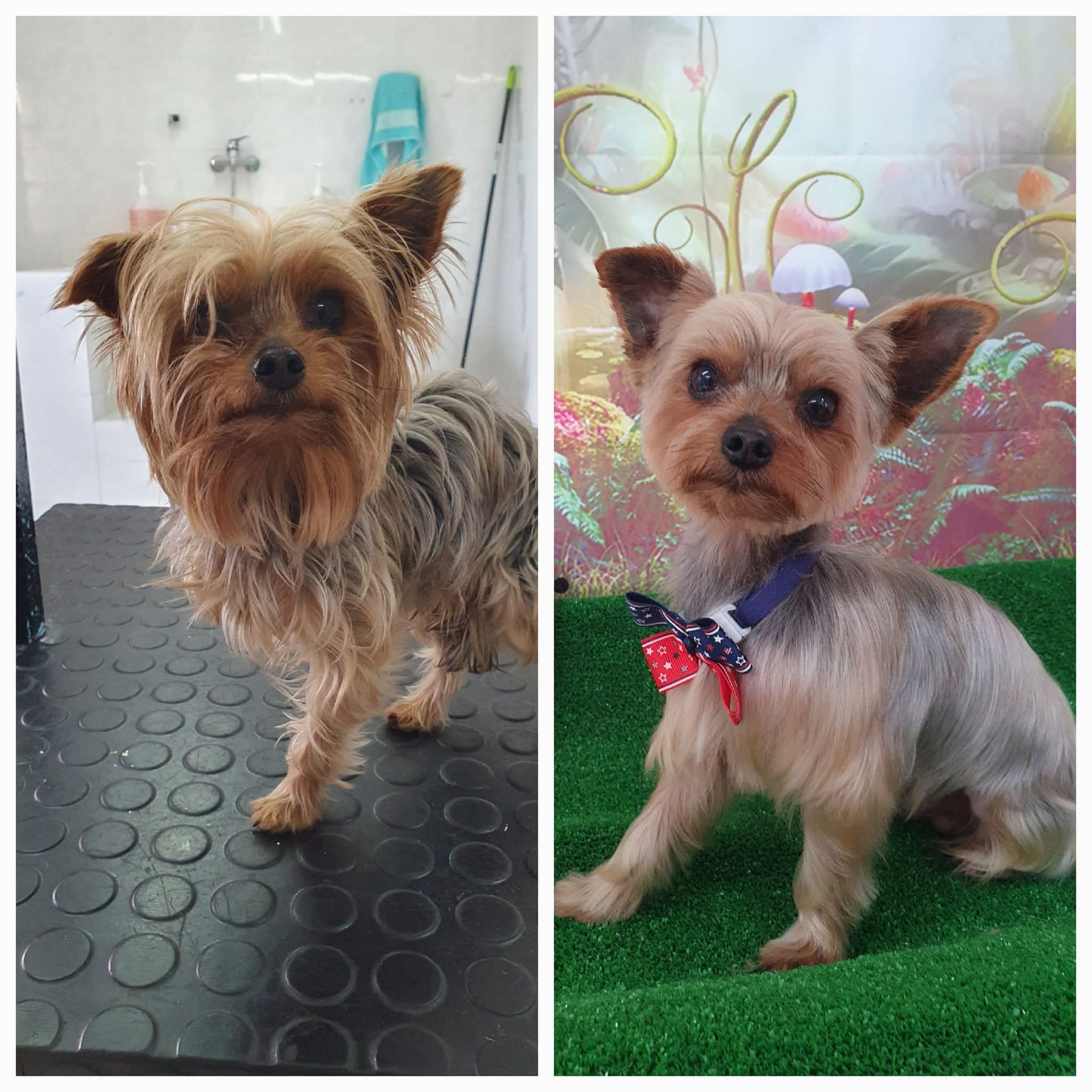 Peluquería