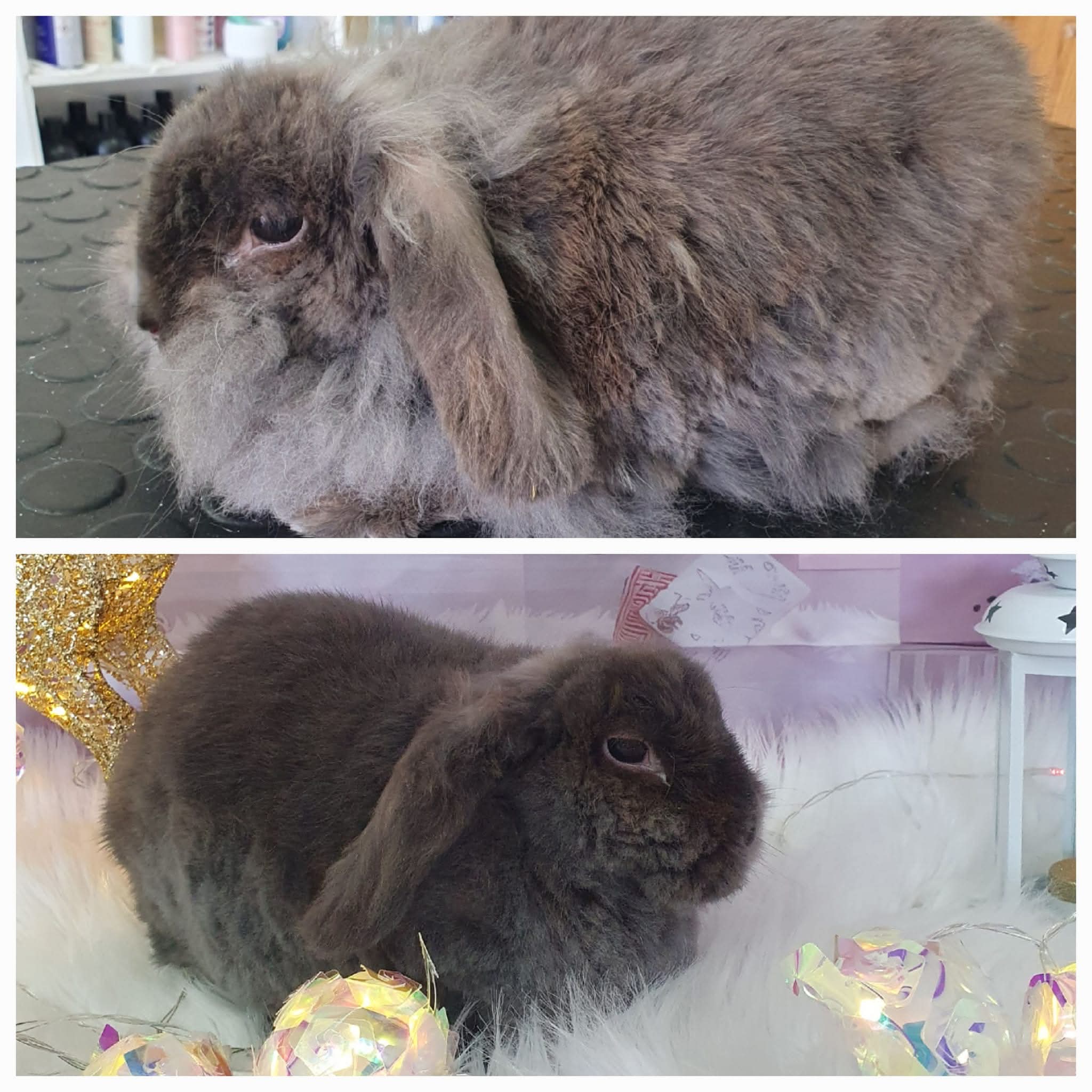 Peluquería