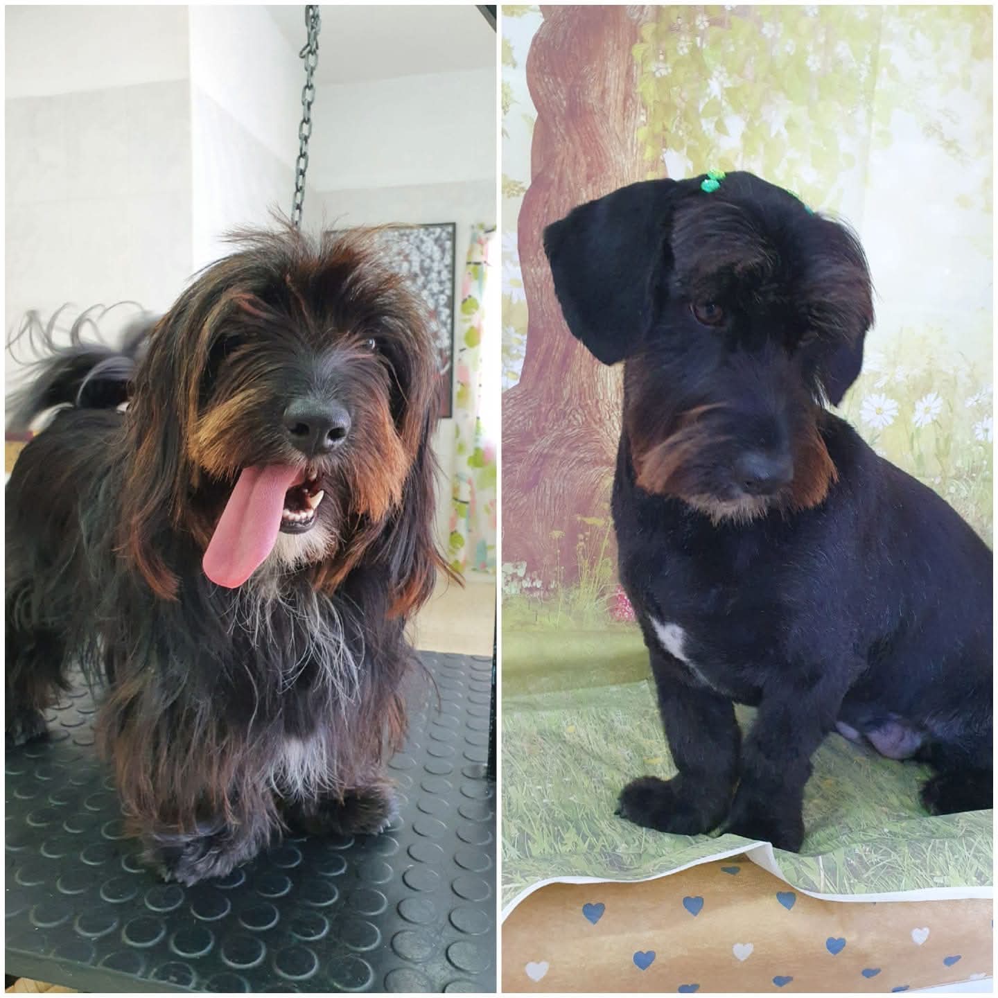Peluquería