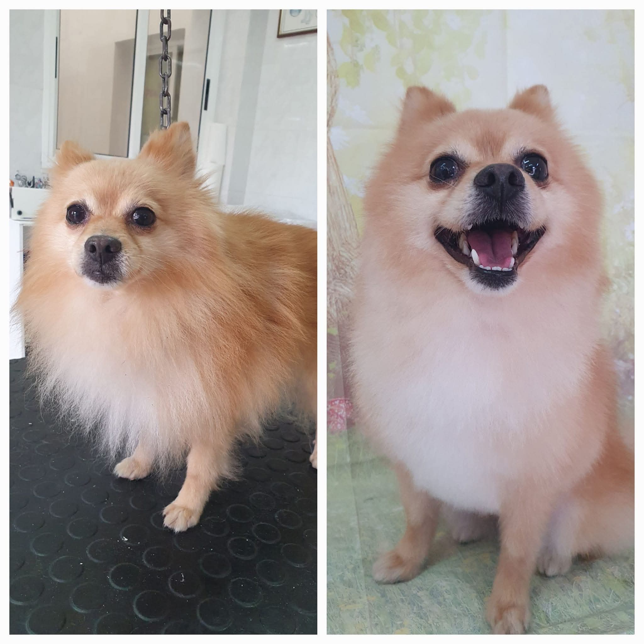 Peluquería