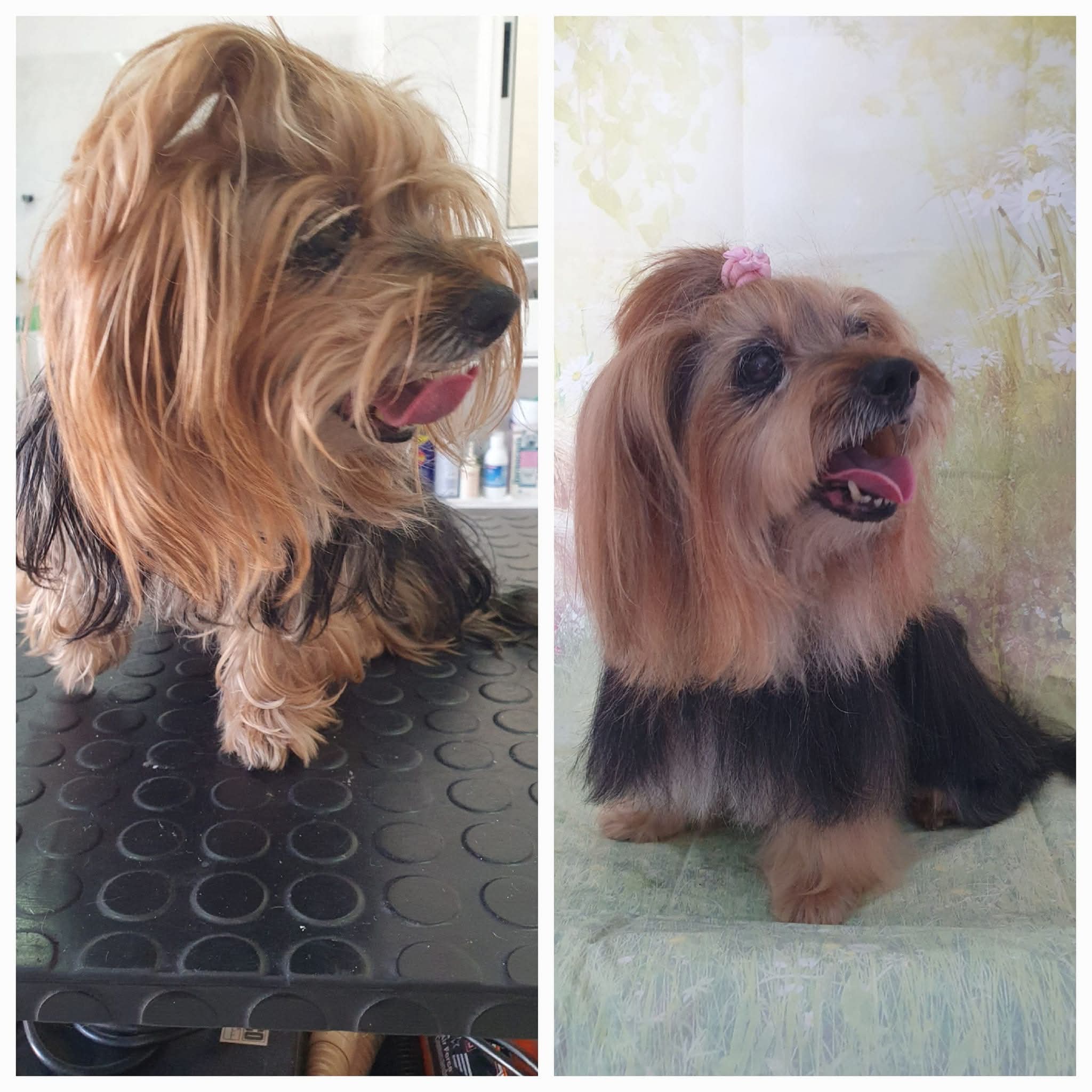 Peluquería