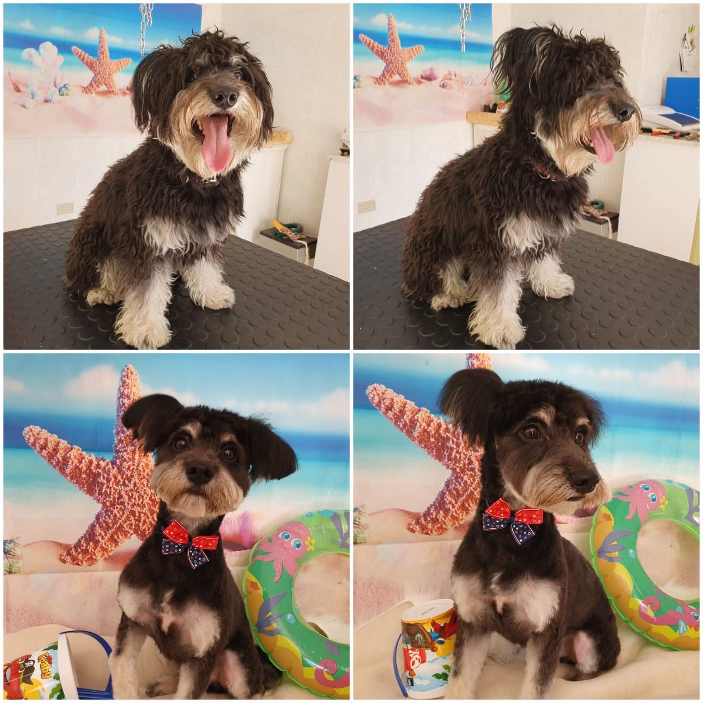 Peluquería