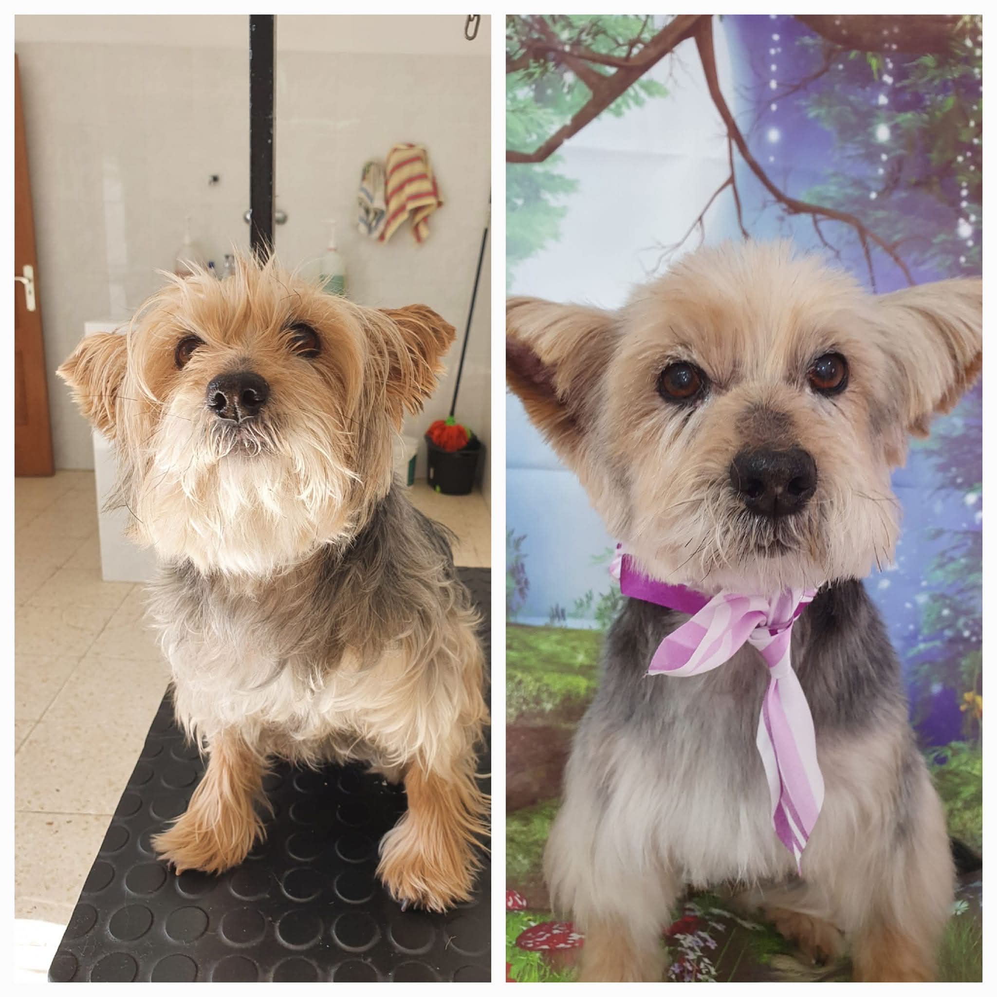 Peluquería