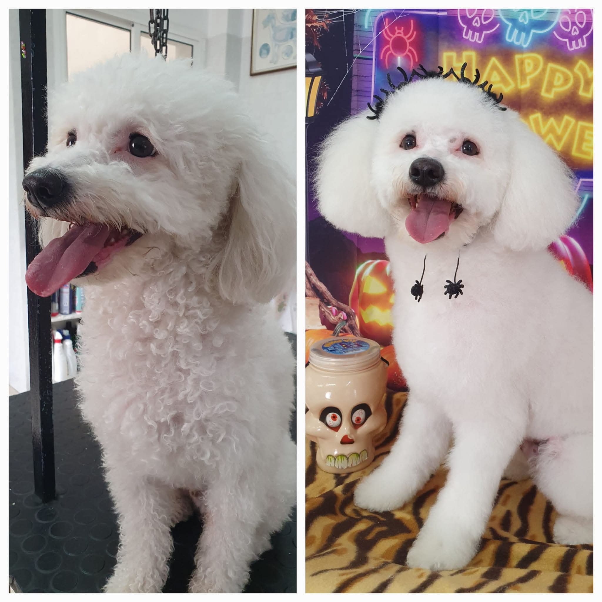 Peluquería