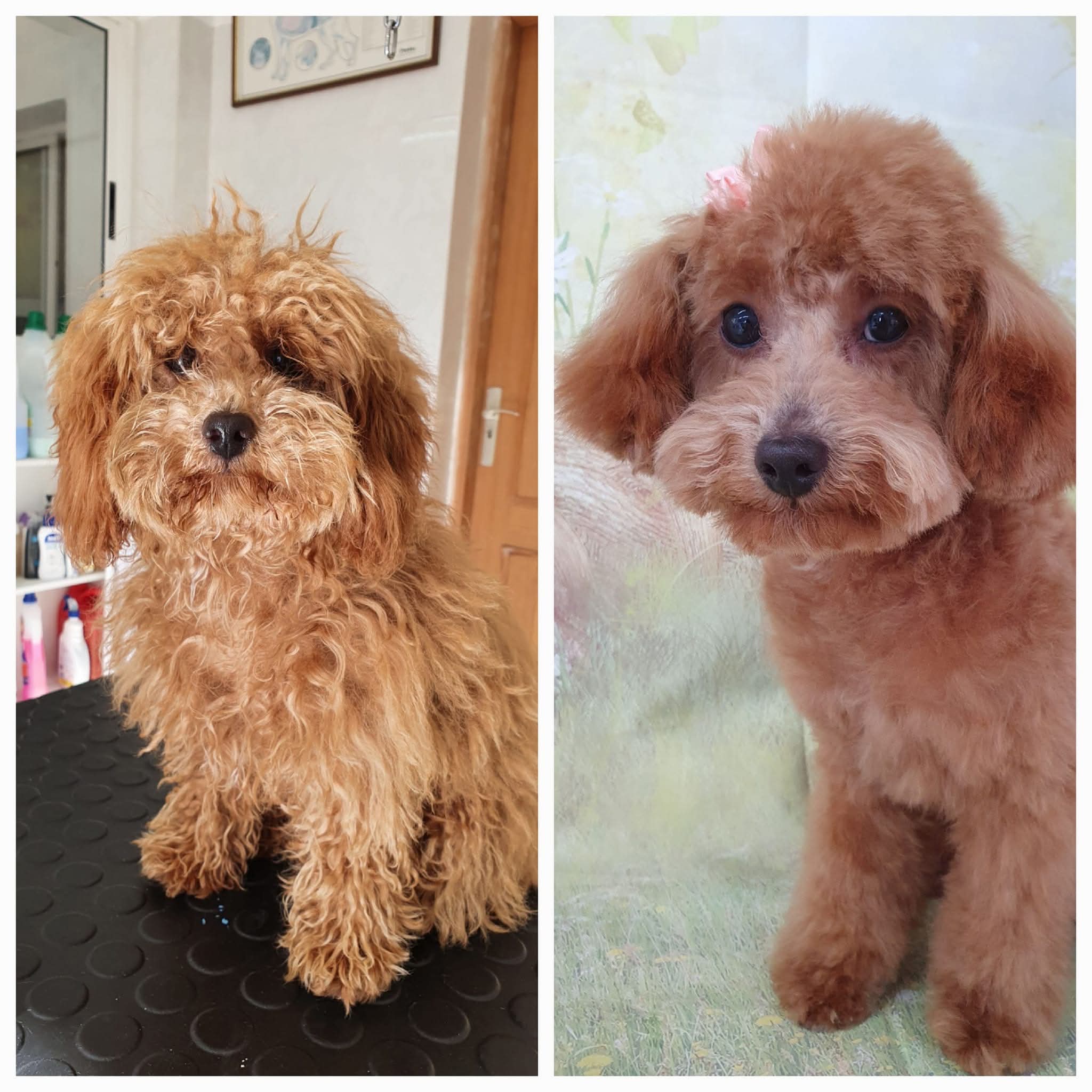 Peluquería