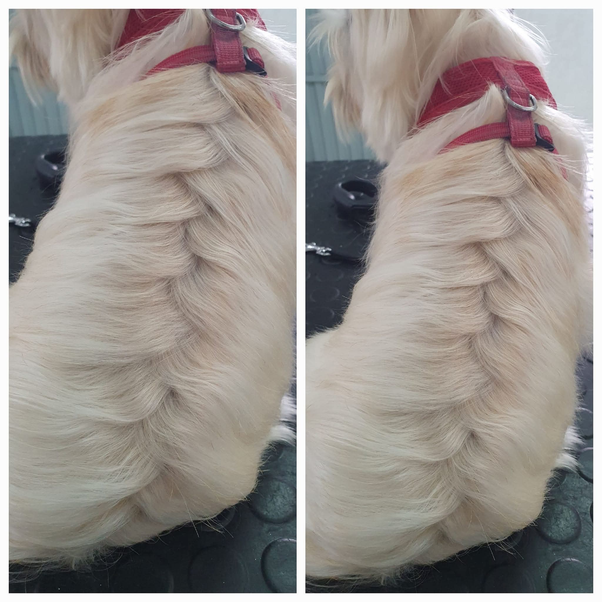 Peluquería