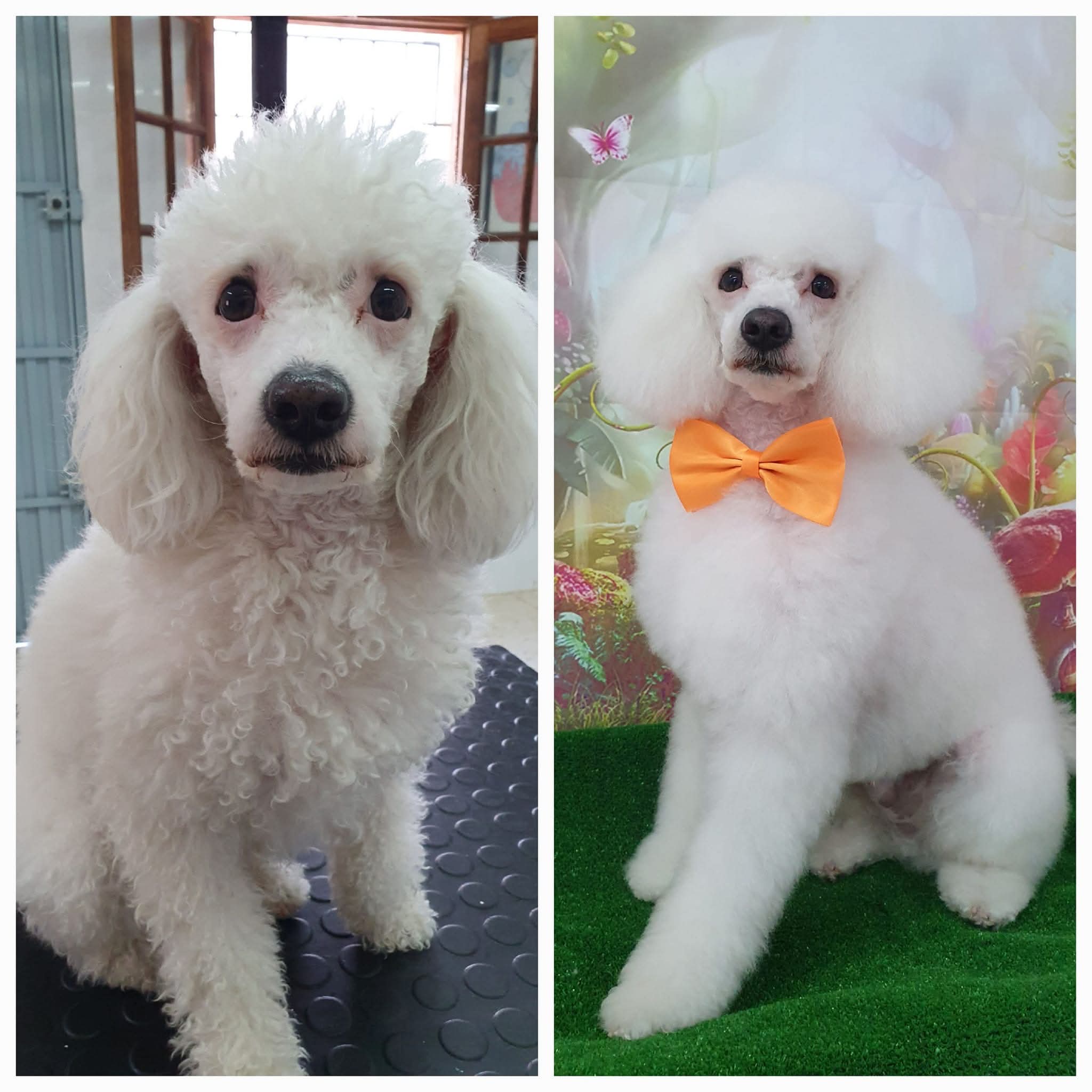 Peluquería