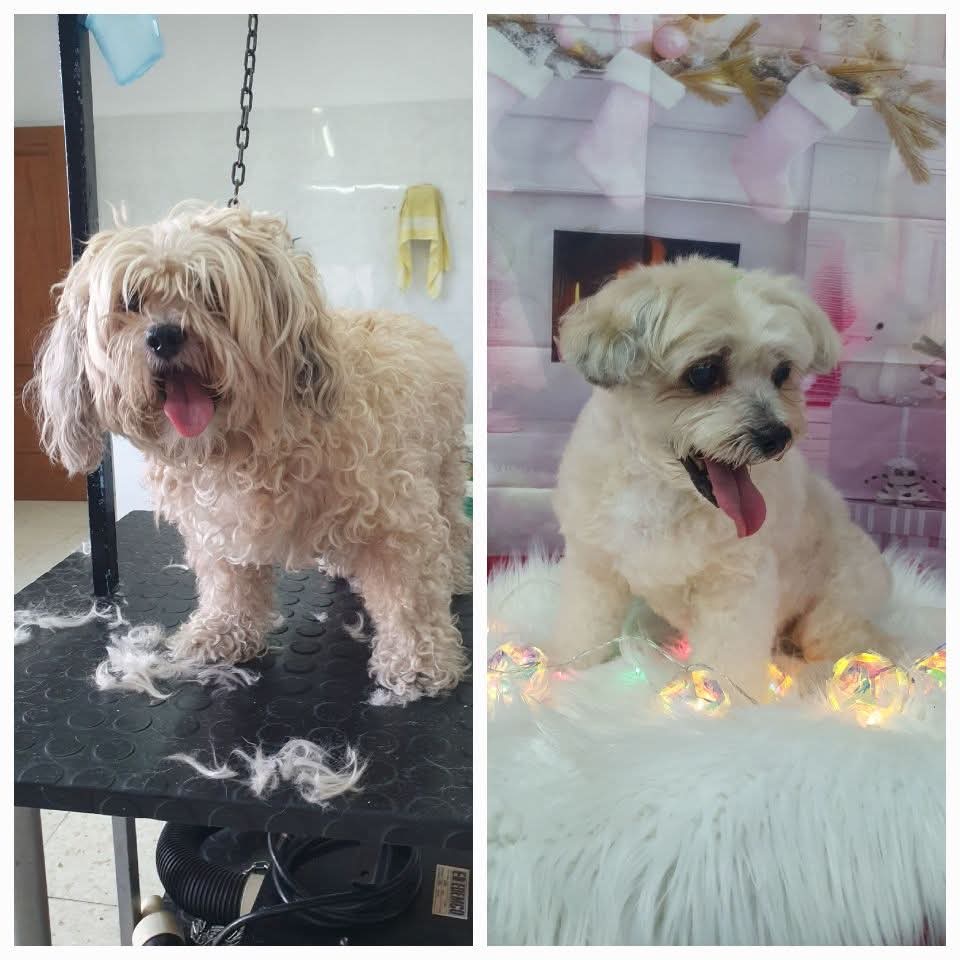 Peluquería