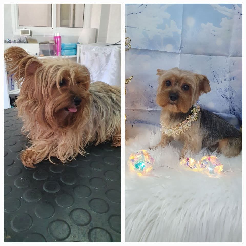 Peluquería