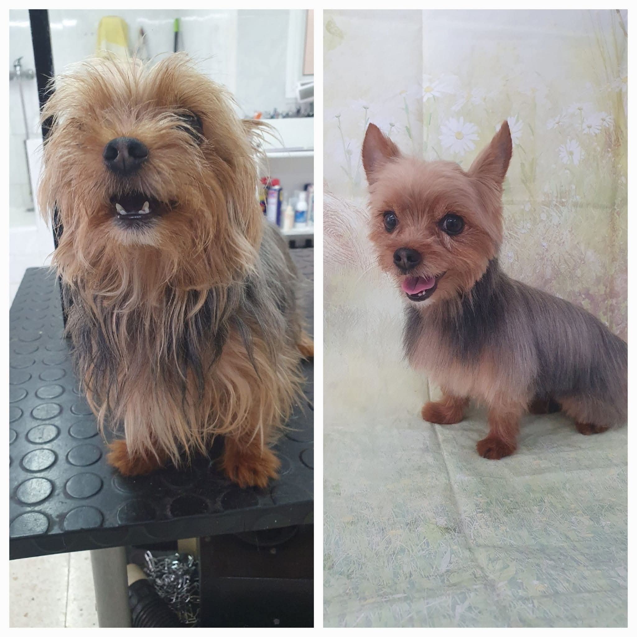 Peluquería