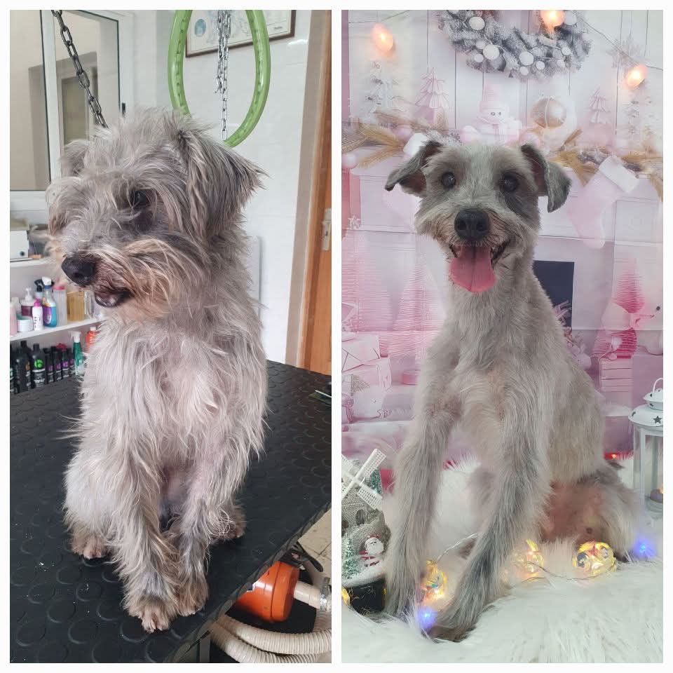 Peluquería