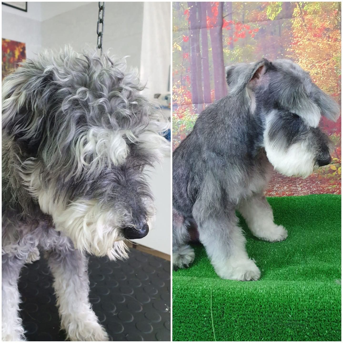 Peluquería