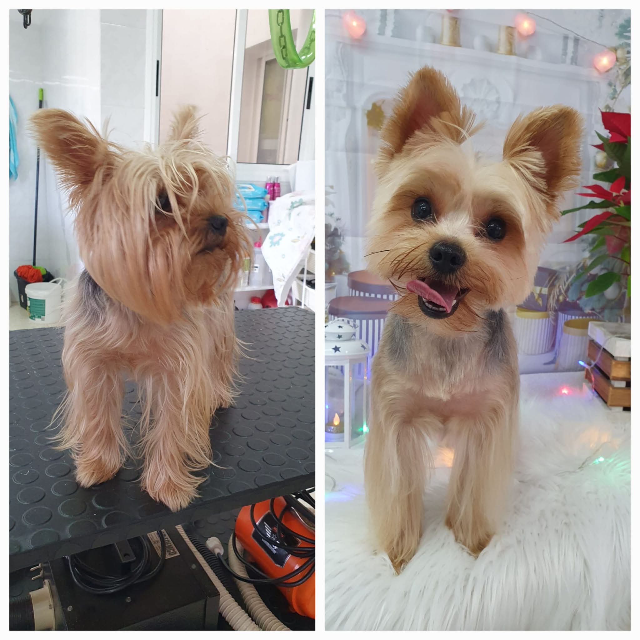 Peluquería